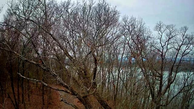 0 Johnson Lane 6, Ten Mile, TN 37880