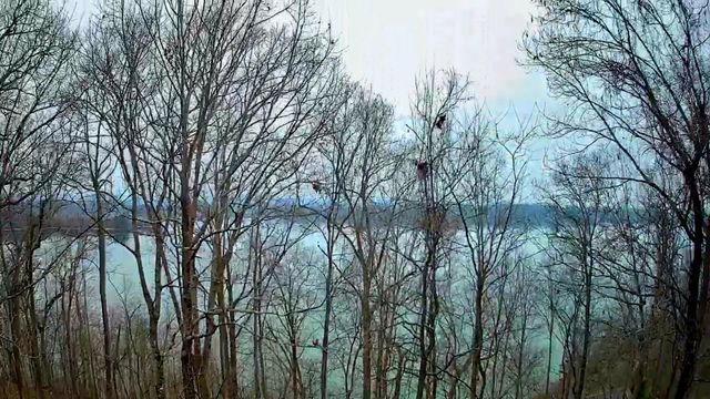 0 Johnson Lane 6, Ten Mile, TN 37880