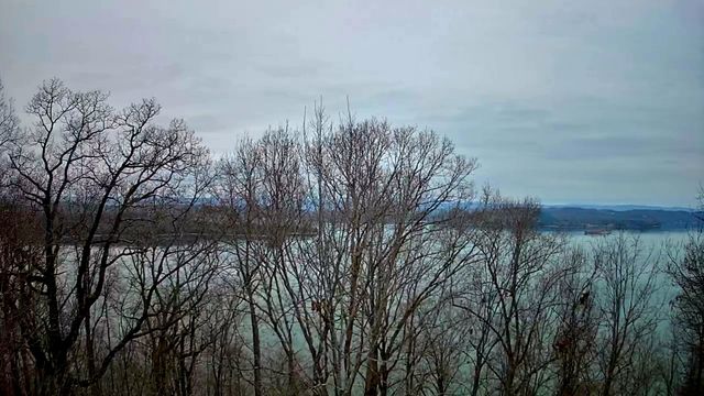 0 Johnson Lane 6, Ten Mile, TN 37880