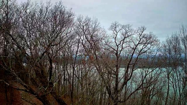 0 Johnson Lane 6, Ten Mile, TN 37880