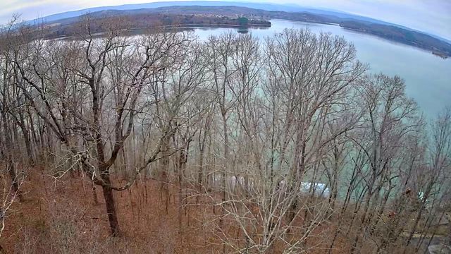 0 Johnson Lane 6, Ten Mile, TN 37880