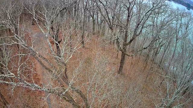 0 Johnson Lane 6, Ten Mile, TN 37880