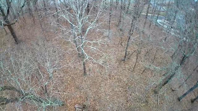 0 Johnson Lane 6, Ten Mile, TN 37880