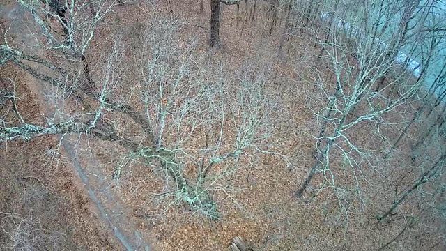 0 Johnson Lane 6, Ten Mile, TN 37880