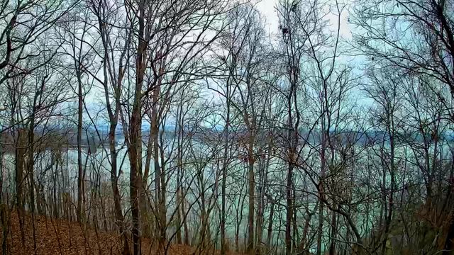 0 Johnson Lane 6, Ten Mile, TN 37880