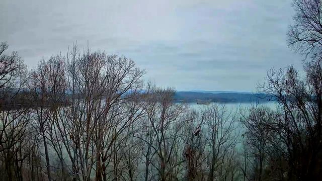 0 Johnson Lane 6, Ten Mile, TN 37880