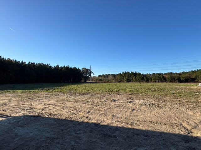 677 Winningham Road, Saint George, SC 29477