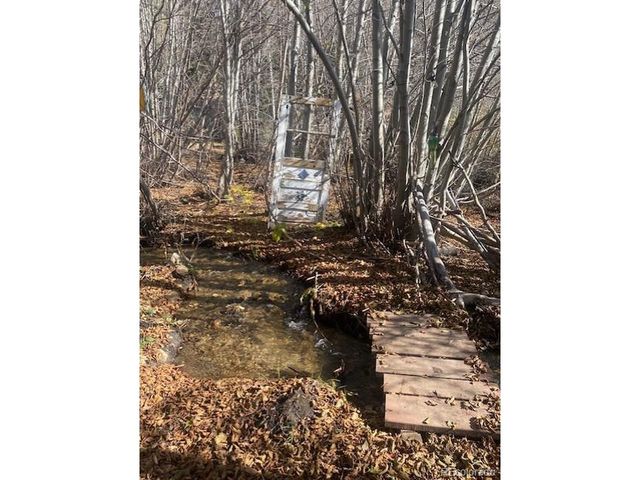 198 CR 26, Twin Lakes, CO 81251