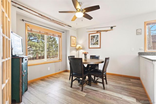 704 Birdie Lane, Estes Park, CO 80517