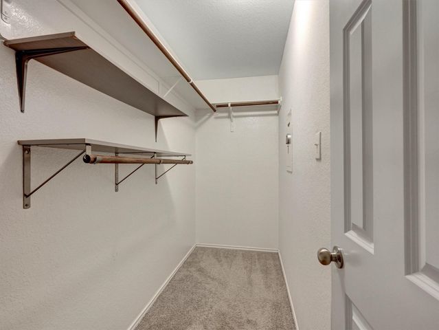 24038 Hay Iron Drive, Hockley, TX 77447