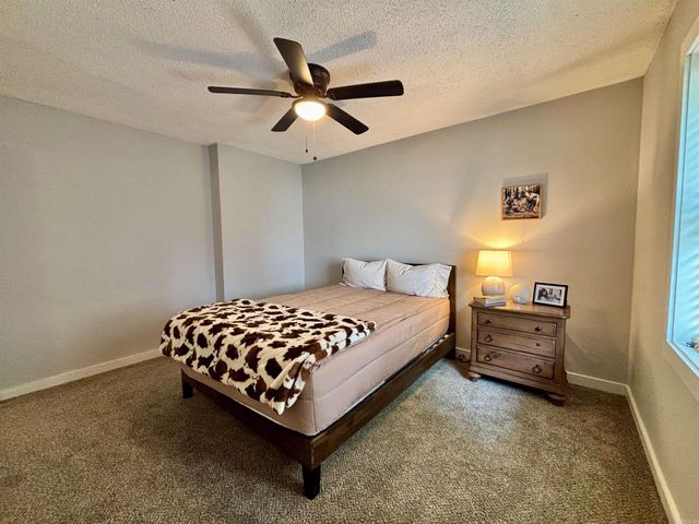 202 W Hazel St, Walnut Ridge, AR 72476