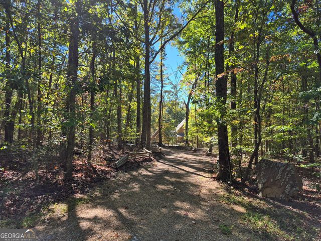 65 Eagle Bluff Road, Menlo, GA 30731