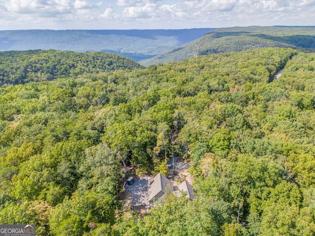 65 Eagle Bluff Road, Menlo, GA 30731