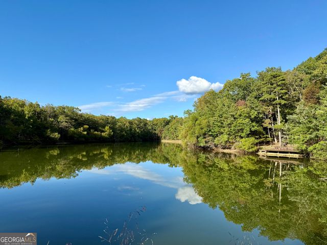 65 Eagle Bluff Road, Menlo, GA 30731