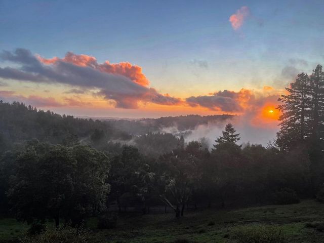 1584 Tindall Ranch Road, Corralitos, CA 95076