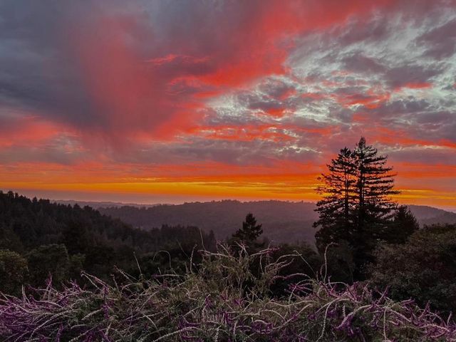 1584 Tindall Ranch Road, Corralitos, CA 95076