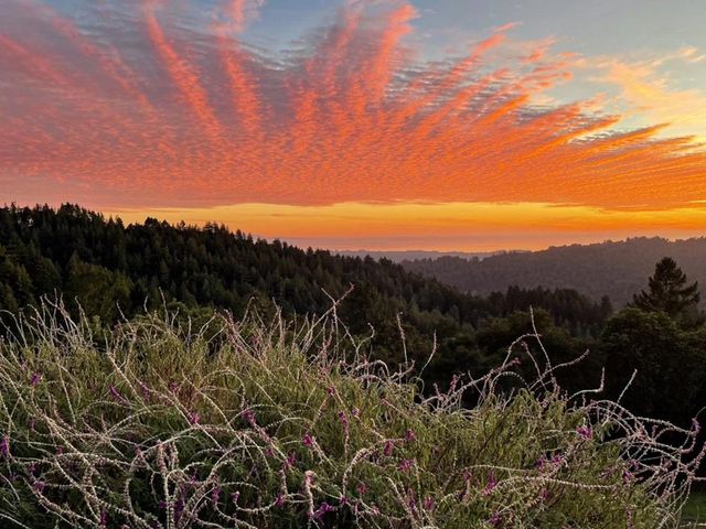 1584 Tindall Ranch Road, Corralitos, CA 95076