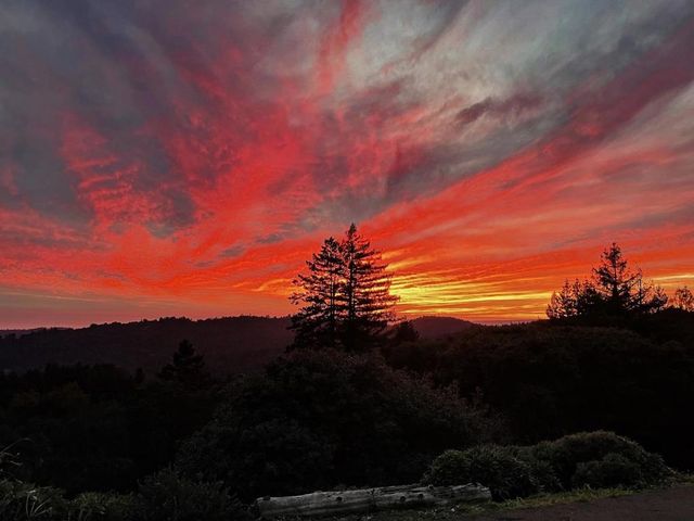 1584 Tindall Ranch Road, Corralitos, CA 95076