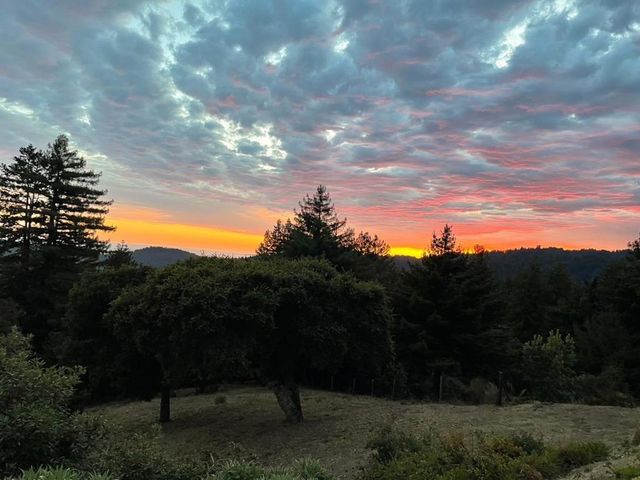 1584 Tindall Ranch Road, Corralitos, CA 95076