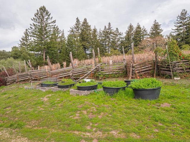 1584 Tindall Ranch Road, Corralitos, CA 95076