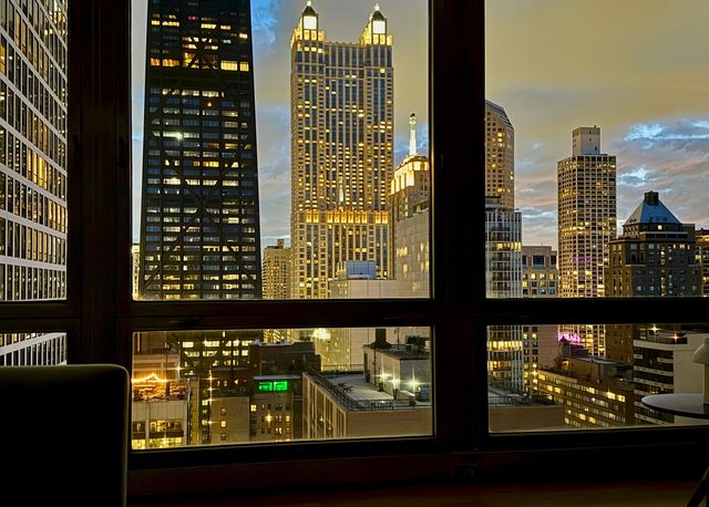 880 N Lake Shore Drive 25H, Chicago, IL 60611