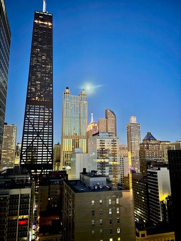 880 N Lake Shore Drive 25H, Chicago, IL 60611