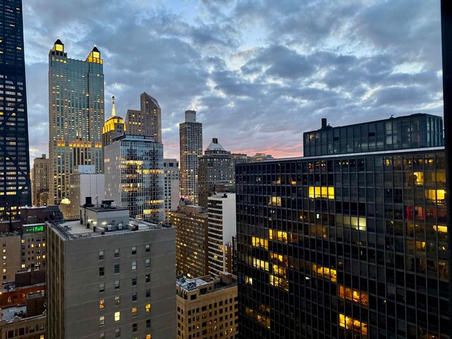 880 N Lake Shore Drive 25H, Chicago, IL 60611
