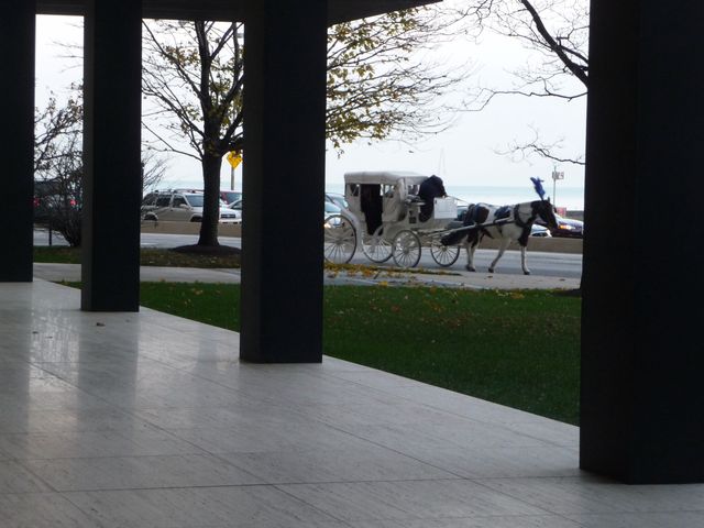 880 N Lake Shore Drive 25H, Chicago, IL 60611