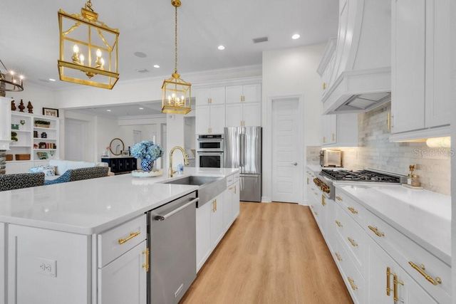 5201 ALAFIA FALLS DRIVE, Lithia, FL 33547