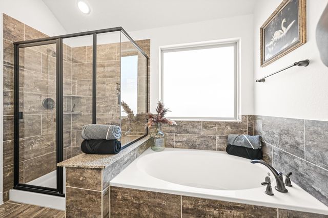 10910 Avana Falls Lane, Richmond, TX 77406