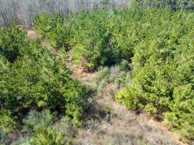 1 Bo Brown Road, Trinity, TX 75862