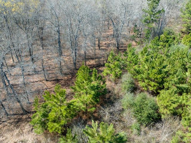 1 Bo Brown Road, Trinity, TX 75862