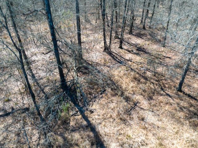 1 Bo Brown Road, Trinity, TX 75862