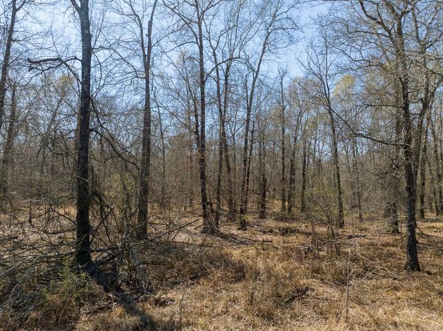 1 Bo Brown Road, Trinity, TX 75862