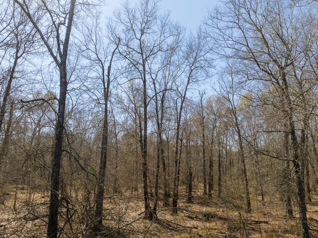 1 Bo Brown Road, Trinity, TX 75862