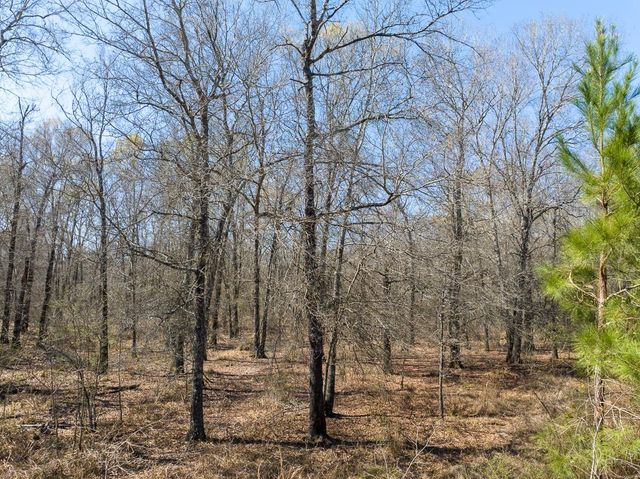 1 Bo Brown Road, Trinity, TX 75862
