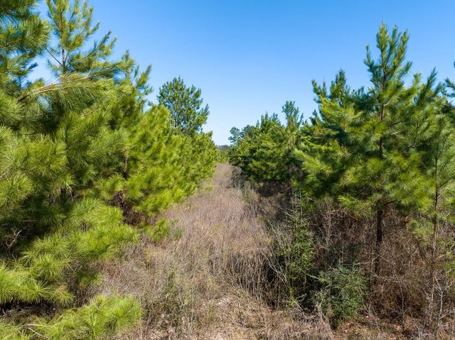 1 Bo Brown Road, Trinity, TX 75862