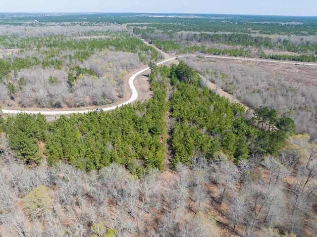 1 Bo Brown Road, Trinity, TX 75862