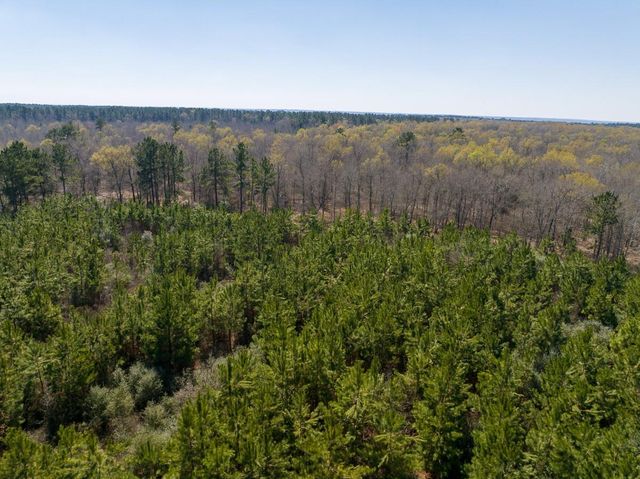 1 Bo Brown Road, Trinity, TX 75862