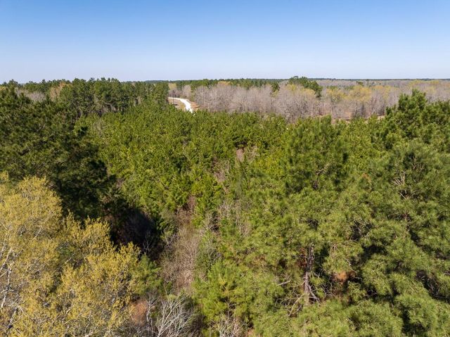 1 Bo Brown Road, Trinity, TX 75862