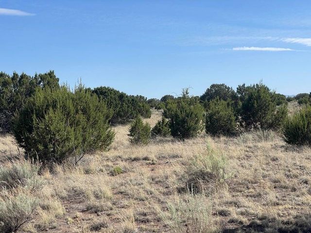Lot 4 Magdalena Ranch Estates, Magdalena, NM 87825