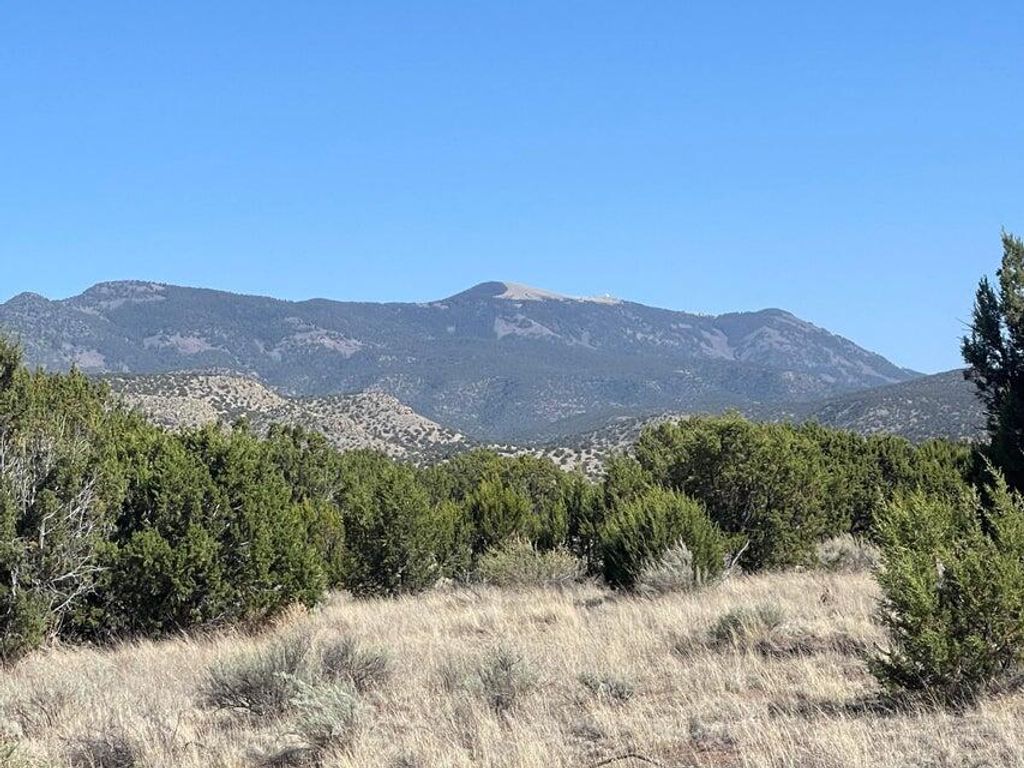 Lot 4 Magdalena Ranch Estates, Magdalena, NM 87825