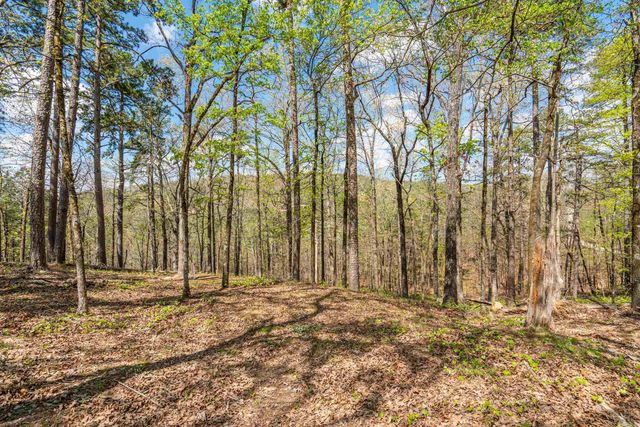 138 peaceful valley Trail, Hot Springs National Park, AR 71901