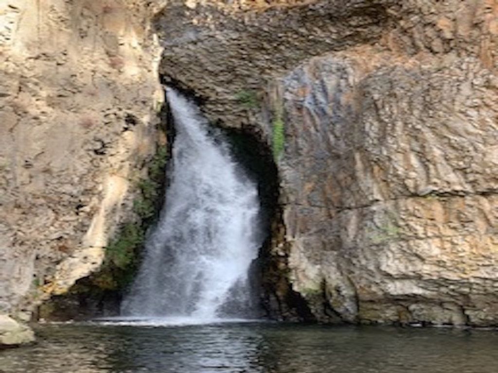 Lot 1 Blue Jay Bob White Ln, Davenport, WA 99122 photo 15