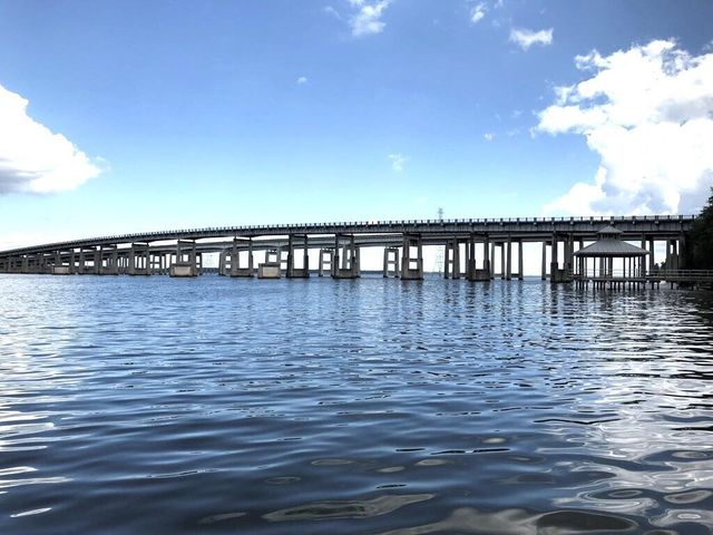 603 Santee Drive, Santee, SC 29142