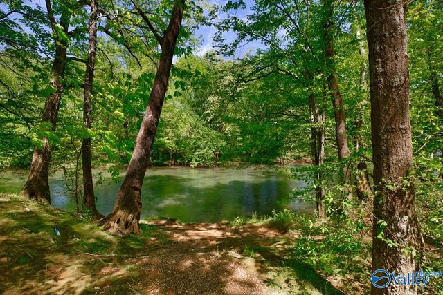 138 River Walk Trail, New Market, AL 35761