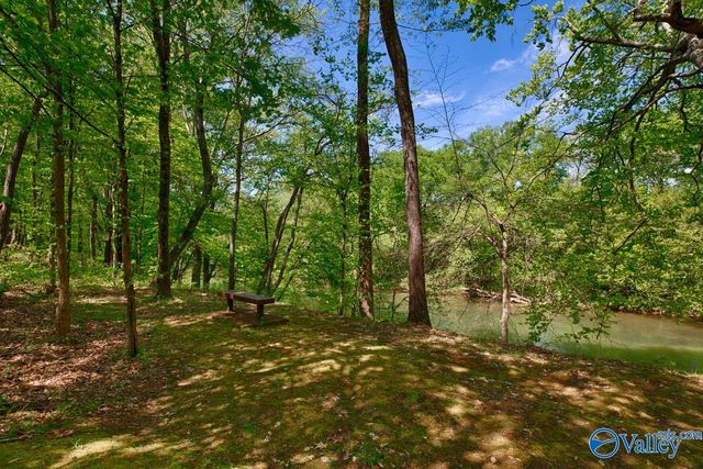 138 River Walk Trail, New Market, AL 35761