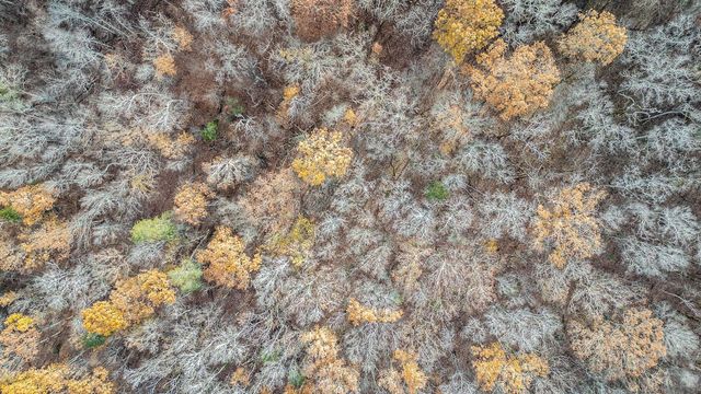 6499 Fairview Road, Hixson, TN 37343