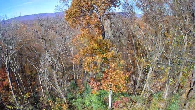 6499 Fairview Road, Hixson, TN 37343