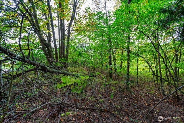 1248 Lattimore Road, Ferndale, WA 98248